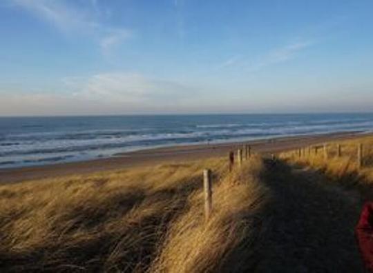 Wat kunnen permanente strandtenten voor gevolgen hebben voor de natuur?