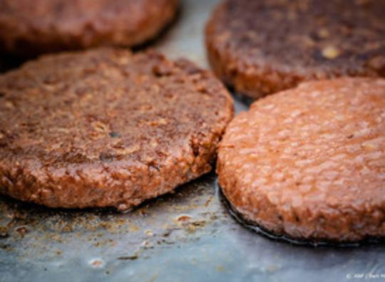 Microplastic in vlees en melk van Nederlandse koeien en varkens gevonden